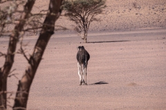 p1045879
