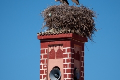 p1056071