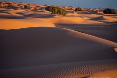 Désert Marocain