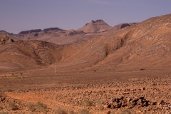 p1074316
