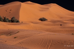 p1074334