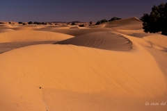 p1074342