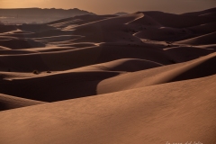 Désert Maroc