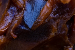 p1074513