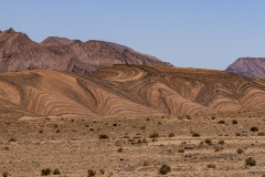 p1145443