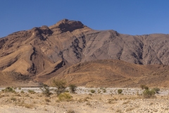p1145454