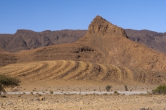 p1145455