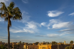 p1145523
