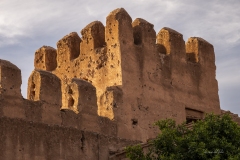 p1147972