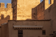 p1147974
