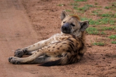 Tanzanie