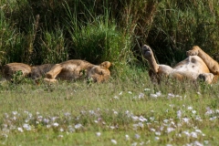 14f2d8c5-3736-44db-98f7-5f252ea320f3_1_105_c