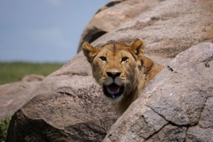 26cd5b99-9516-4735-adff-d26af2314952_1_105_c