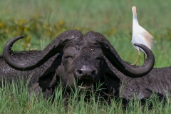 38a372f1-40fa-4cc8-8776-9412791a0f01_1_105_c