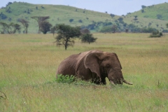 44351d3b-c944-4ef6-9108-f2dc87704802_1_105_c