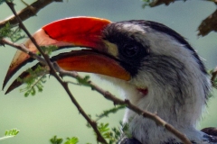 4f23df42-23bb-460b-bd2d-e89ebbdbbbd6_1_105_c