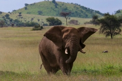 57bbf4a5-315a-497c-a5a9-65267cdbc84f_1_105_c