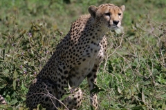 66164c0a-68a4-47cd-b655-d2c53b03d9fe_1_105_c