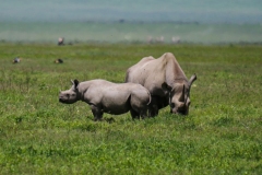 70ec1257-a57a-45f7-98b3-7d4fda0bdd67_1_105_c