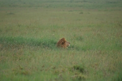 72ddbd9d-7ea8-475c-9f66-efc37d49a4b8_1_105_c