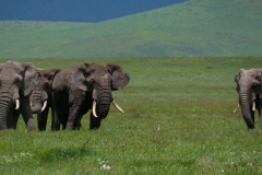 7aa4be3e-ad0c-4d90-b87f-be574dddd862_1_105_c