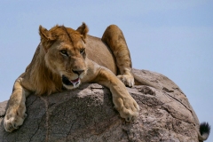 96a6ed5c-d44c-41ce-8912-dcb711258f0c_1_105_c