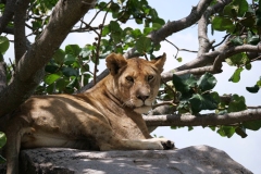 9839bf29-7427-44eb-b60c-e49d86db4fab_1_105_c