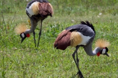 a0f7067c-1697-4f30-a3dd-4832197663f8_1_201_a