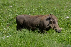 a527e07f-2ad6-44e0-b502-e9a277385139_1_105_c