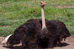 b36e5c63-01a2-46d0-8296-a4a60b86727b_1_201_a