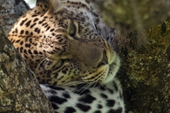 b777359d-be64-404b-a60d-fbbba5ace29a_1_105_c