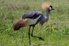 bf639e1d-b433-41b3-9064-33c4db738e9c_1_201_a