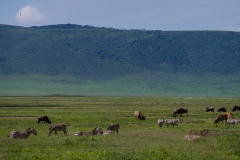 ea989c59-b1cf-4da2-a28c-ea0d6724eddf_1_201_a