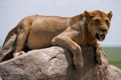 eccd57cf-9a50-4b8e-89ee-58da78208caf_1_105_c