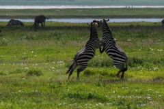 fb81b95e-e26e-4d8e-920b-f92b04cd148b_1_105_c