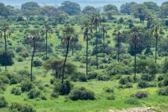 p1207599