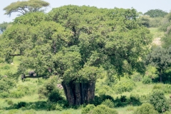 p1207751