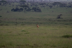 p1230021