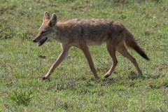 p1230085