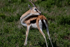 p1230114