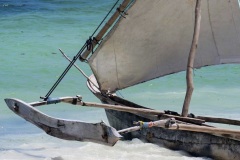 1095bf6c-a328-4875-a6c2-db69faf4c5cd_1_105_c