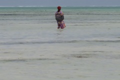 4c9d9738-f256-4e7c-af8d-abb78dc9220c_1_105_c