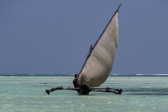 623a3528-9b1a-4d20-be6b-a77fa1a3d2be_1_105_c