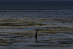 7715779c-285c-4fd7-baa8-72d97efc44d2_1_105_c