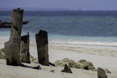 9d312274-84c4-4b0e-bf44-3a582ba8ca15_1_105_c