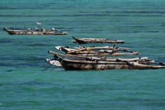 9fbd3641-da15-4695-a661-306c6b2d5f15_1_105_c