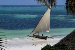 a89a4661-56f7-4a14-8505-6bbf9f49afc0_1_105_c