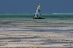 ab90435f-01a6-46bb-b1ad-4915c011f3f4_1_105_c