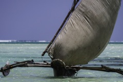 e3e69cd7-272c-4c3f-ba73-0e3ec6450f79_1_105_c