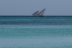 p1207214